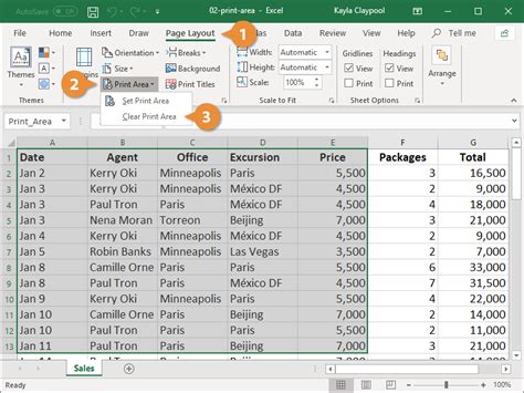 how do i set the print area in excel and why is it beneficial to organize my data before printing?